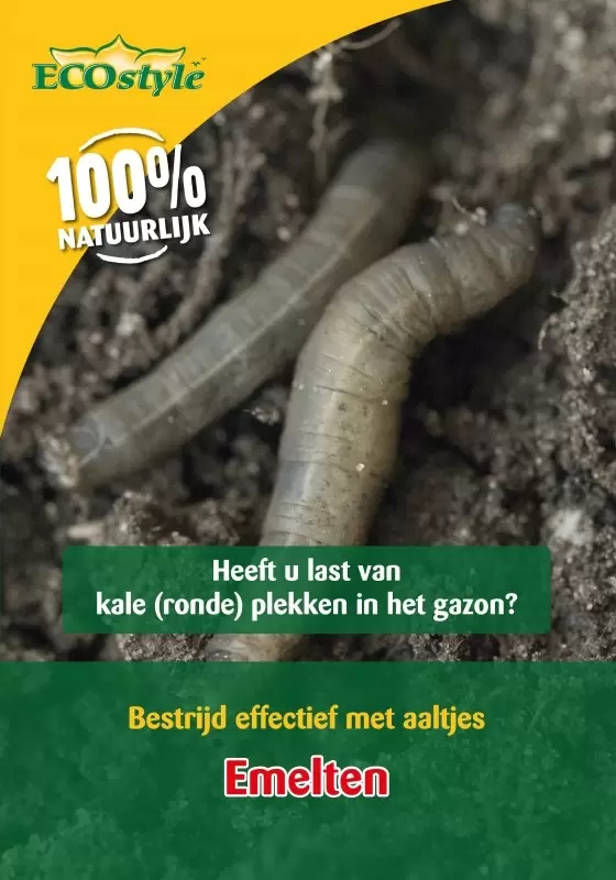 Aaltjes Tegen Emelten 10m² Ecostyle