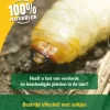 Aaltjes Tegen Larven-en Snuitkever 10m² H Ecostyle