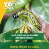 Aaltjes Tegen Rupsen Fruitmot 60m² Ecostyle