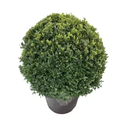 Buxusbol Bol | Plamboompje P29