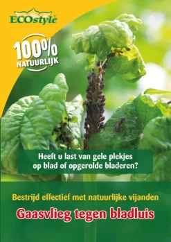 Gaasvlieg Tegen Bladluis 50m² Ecostyle