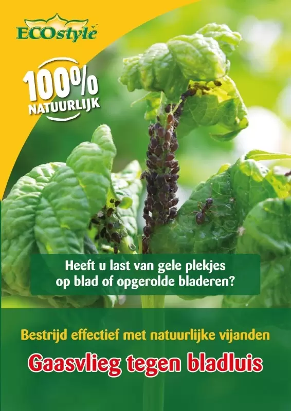 Gaasvlieg Tegen Bladluis 50m² Ecostyle