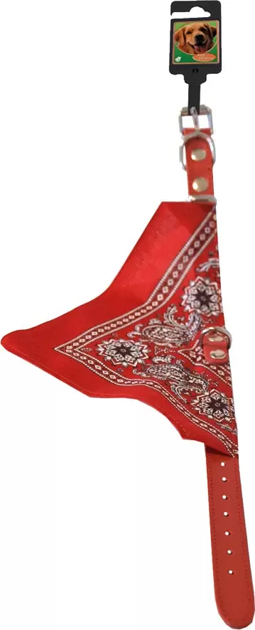 Halsband Met Zakdoek 30 Cm