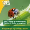 Larven Lieveheersbeestje Tegen Bladluis 10m² Ecostyle
