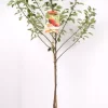 Malus Dom. Elstar Laagstam | Appel Pot24cm