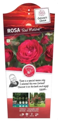 Stamroos 'Red Meilove'® Pot 24 Cm Stam 90 Cm