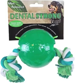 Rubber Bal Met Flos 10 Cm Groen. Dental-strong