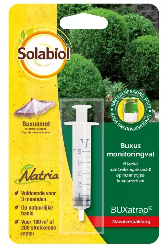 Solabiol BUXatrap Buxus Monitoringval Refill Bayer SBM