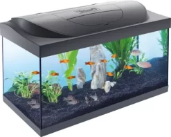 Tetra Starter Line LED Aquarium, 54 Liter