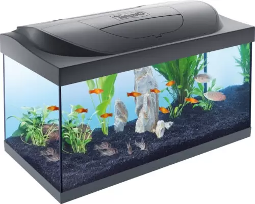 Tetra Starter Line LED Aquarium, 54 Liter