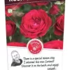 Struikroos 'Red Meilove'® Pot17cm